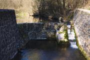 ../galleries/2020.04.10_Wandern_Harz_Bad_Sachsa/DSC_4897.thumbnail.jpg
