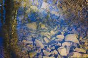 ../galleries/2020.04.10_Wandern_Harz_Bad_Sachsa/DSC_4908.thumbnail.jpg