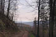 ../galleries/2020.04.12_Wandern_Harz_Walkenried_Zorge/DSC_4949.thumbnail.jpg