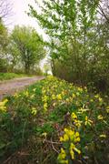 ../galleries/2020.04.18_Spaziergang_Experimenteller_Botanischer_Garten/DSC_5002.thumbnail.jpg