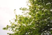 ../galleries/2020.04.18_Spaziergang_Experimenteller_Botanischer_Garten/DSC_5003.thumbnail.jpg