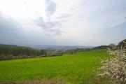 ../galleries/2020.04.18_Spaziergang_Experimenteller_Botanischer_Garten/DSC_5005.thumbnail.jpg