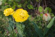 ../galleries/2020.04.18_Spaziergang_Herberhausen/DSC_4980.thumbnail.jpg