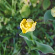 ../galleries/2020.04.18_Spaziergang_Herberhausen/DSC_4981.thumbnail.jpg