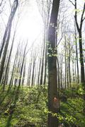 ../galleries/2020.04.18_Spaziergang_Herberhausen/DSC_4987.thumbnail.jpg