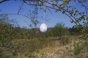 ../galleries/2020.04.18_Spaziergang_Herberhausen/DSC_4997.thumbnail.jpg
