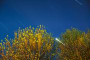 ../galleries/2020.04.24_Sterne/DSC_5055.thumbnail.jpg