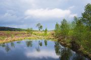 ../galleries/2020.05.03_Fotospaziergang_Moor_Mecklenbruch/DSC_5128.thumbnail.jpg