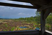 ../galleries/2020.05.03_Fotospaziergang_Moor_Mecklenbruch/DSC_5139.thumbnail.jpg