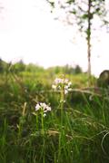 ../galleries/2020.05.03_Fotospaziergang_Moor_Mecklenbruch/DSC_5165.thumbnail.jpg