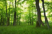 ../galleries/2020.05.03_Fotospaziergang_Moor_Mecklenbruch/DSC_5168.thumbnail.jpg