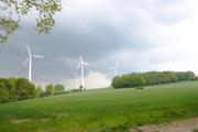 ../galleries/2020.05.03_Fotospaziergang_Moor_Mecklenbruch/DSC_5194.thumbnail.jpg