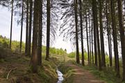../galleries/2020.05.10_Wanderung_Harz_Clausthal-Zellerfeld/DSC_5229.thumbnail.jpg