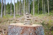 ../galleries/2020.05.10_Wanderung_Harz_Clausthal-Zellerfeld/DSC_5230.thumbnail.jpg