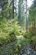 ../galleries/2020.05.10_Wanderung_Harz_Clausthal-Zellerfeld/DSC_5239.thumbnail.jpg