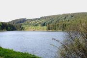 ../galleries/2020.05.10_Wanderung_Harz_Clausthal-Zellerfeld/DSC_5240.thumbnail.jpg