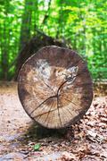 ../galleries/2020.05.20_Spaziergang_Weende/DSC_5275.thumbnail.jpg