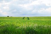 ../galleries/2020.05.27_Spaziergang_Weende/DSC_5360.thumbnail.jpg