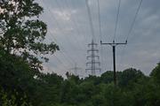 ../galleries/2020.06.04_Spaziergang_Niedernhausen/DSC_5501.thumbnail.jpg