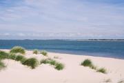 ../galleries/2020.06.20_Urlaub_Amrum_-_Tag_2/DSC_5813.thumbnail.jpg