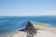 ../galleries/2020.06.21_Urlaub_Amrum_-_Tag_3/DSC_5921.thumbnail.jpg
