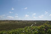 ../galleries/2020.06.22_Urlaub_Amrum_-_Tag_4/DSC_6050.thumbnail.jpg