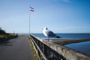 ../galleries/2020.06.22_Urlaub_Amrum_-_Tag_4/DSC_6110.thumbnail.jpg