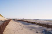 ../galleries/2020.06.23_Urlaub_Amrum_-_Tag_5/DSC_6231.thumbnail.jpg