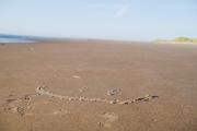 ../galleries/2020.06.23_Urlaub_Amrum_-_Tag_5/DSC_6258.thumbnail.jpg