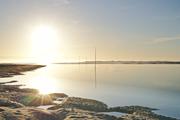 ../galleries/2020.06.23_Urlaub_Amrum_-_Tag_5/DSC_6336.thumbnail.jpg