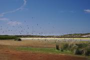 ../galleries/2020.06.25_Urlaub_Amrum_-_Tag_7/DSC_6559.thumbnail.jpg