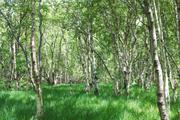 ../galleries/2020.06.25_Urlaub_Amrum_-_Tag_7/DSC_6581.thumbnail.jpg