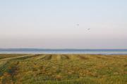 ../galleries/2020.06.26_Urlaub_Amrum_-_Tag_8/DSC_6626.thumbnail.jpg