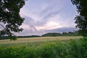 ../galleries/2020.07.02_Spaziergang_Weende/DSC_6847.thumbnail.jpg
