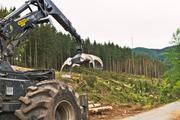 ../galleries/2020.07.04_Wanderung_Harz_Osterode_zur_Hanskühnenburg/DSC_6895.thumbnail.jpg