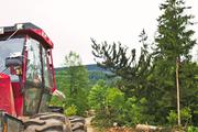 ../galleries/2020.07.04_Wanderung_Harz_Osterode_zur_Hanskühnenburg/DSC_6906.thumbnail.jpg