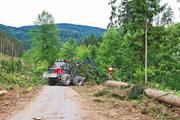 ../galleries/2020.07.04_Wanderung_Harz_Osterode_zur_Hanskühnenburg/DSC_6911.thumbnail.jpg
