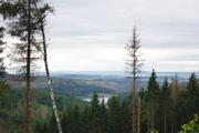 ../galleries/2020.07.04_Wanderung_Harz_Osterode_zur_Hanskühnenburg/DSC_6926.thumbnail.jpg
