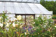 ../galleries/2020.07.11_Spaziergang_Botanischer_Garten/DSC_6944.thumbnail.jpg