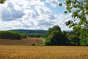 ../galleries/2020.07.12_Spaziergang_Weender_Wald/DSC_6955.thumbnail.jpg