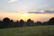 ../galleries/2020.07.24_Spaziergang_Experimenteller_Botanischer_Garten/DSC_6977.thumbnail.jpg