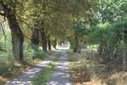 ../galleries/2020.08.25_Brandenburgs_langweilige_Wälder/DSC_7655.thumbnail.jpg