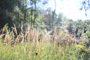 ../galleries/2020.09.05_Iserlohn/DSC_7849.thumbnail.jpg