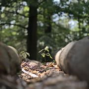 ../galleries/2020.09.05_Iserlohn/DSC_7856.thumbnail.jpg