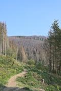 ../galleries/2020.09.12_Wanderung_Harz_St._Andreasberg/DSC_8174.thumbnail.jpg