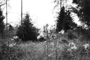 ../galleries/2020.09.12_Wanderung_Harz_St._Andreasberg/DSC_8196.thumbnail.jpg