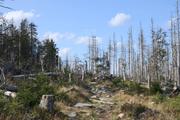 ../galleries/2020.09.12_Wanderung_Harz_St._Andreasberg/DSC_8206.thumbnail.jpg
