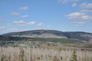 ../galleries/2020.09.12_Wanderung_Harz_St._Andreasberg/DSC_8210.thumbnail.jpg