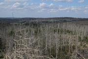 ../galleries/2020.09.12_Wanderung_Harz_St._Andreasberg/DSC_8212.thumbnail.jpg