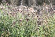 ../galleries/2020.09.12_Wanderung_Harz_St._Andreasberg/DSC_8235.thumbnail.jpg